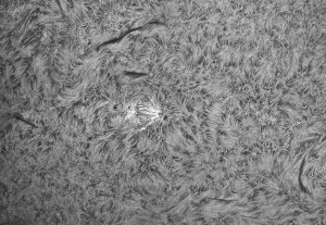 Sun-Ha_2014_04_29_acA640-100gm_6_093124_4Fr_80%.jpg