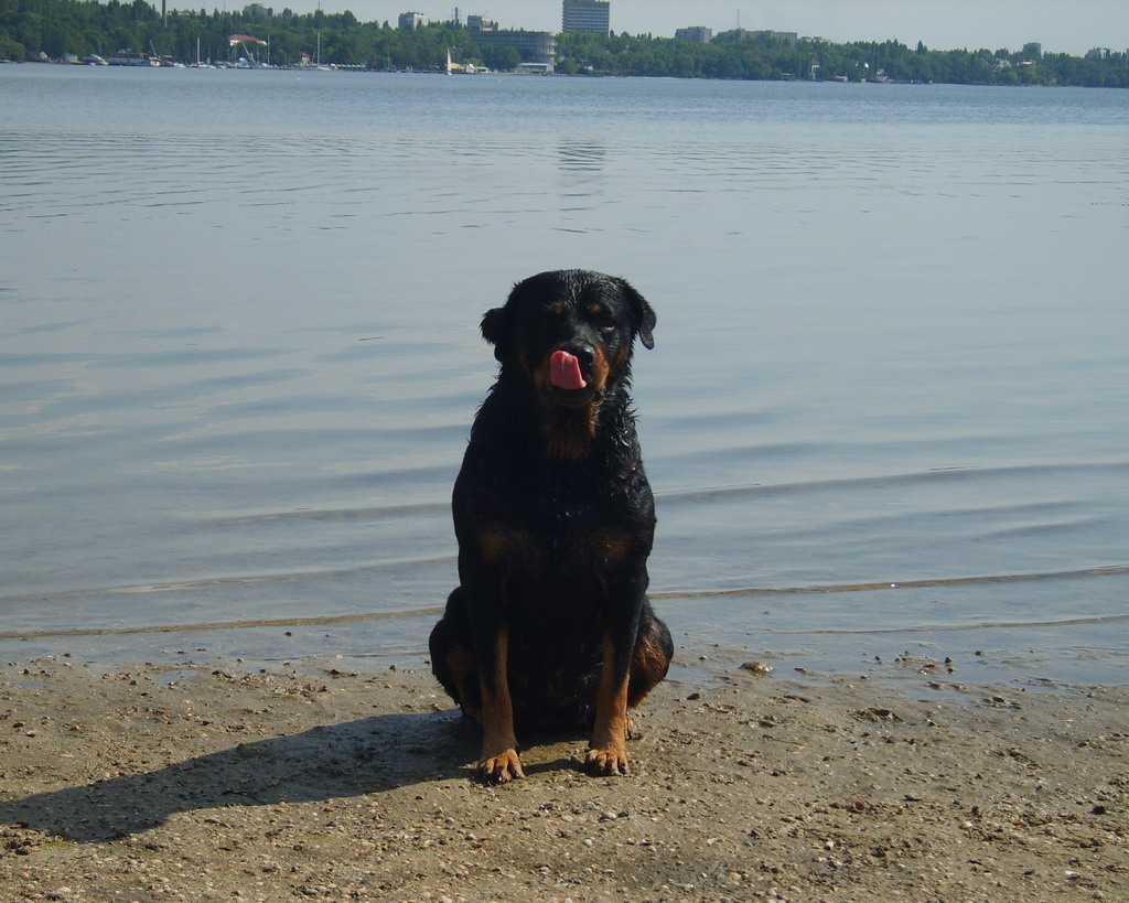 лето_2008 079.jpg