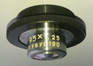 95x1.25.jpg