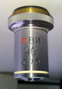 40x0.75.jpg