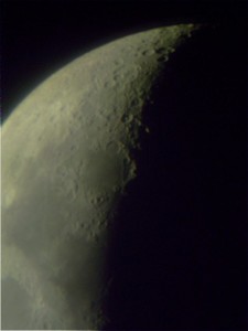 S7301921.jpg