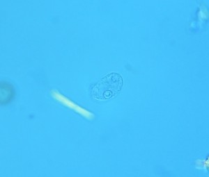 P1110893_1.jpg