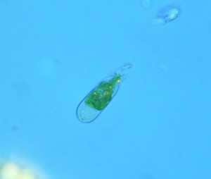 P1110843_1.jpg