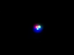 _5206578.JPG
