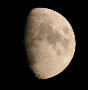 IMG_4753.jpg