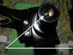 DSCN2057.JPG
