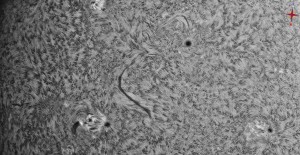 Sun-Ha_2014_06_06_DMx-31AU03AS_103329_6Fr_40%_1.jpg