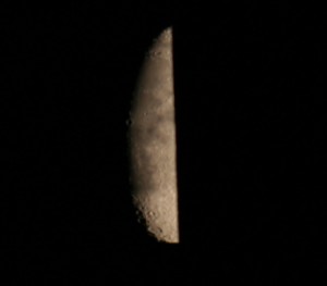 IMG_4766.jpg