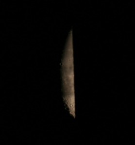 IMG_4768.jpg