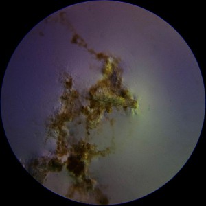 19062014436.jpg