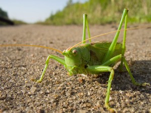 IMG_0371.jpg