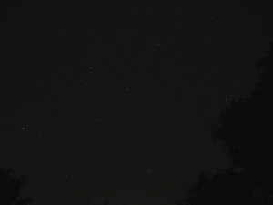 P1000923.JPG