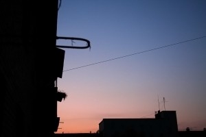 IMG_4837.jpg