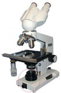 m1.JPG