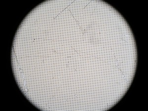$_57 (2).JPG