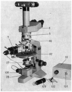 Polam_R312_0001.jpg