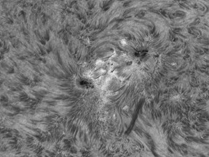 Sun_010914_acA640-100gm_21_105216_100%.jpg