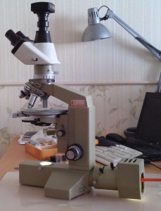 полам211.JPG