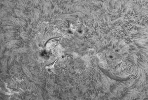 Sun_080914_acA640-100gm_112508_6Fr_100%-crop.jpg