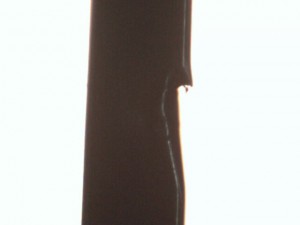 Image-32.jpg