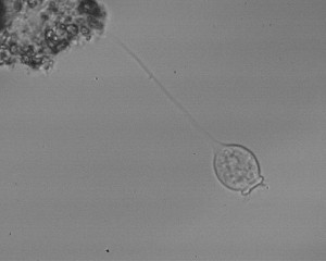 2009-11-23_0007_0X.jpg