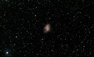 M1 (light).jpg