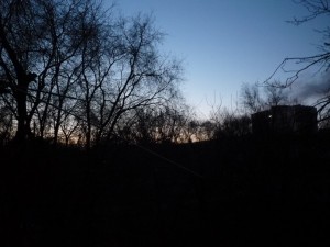 P1010276.JPG