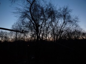 P1010277.JPG