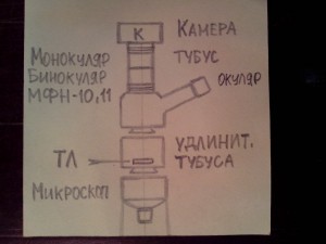 1413970844118.jpg