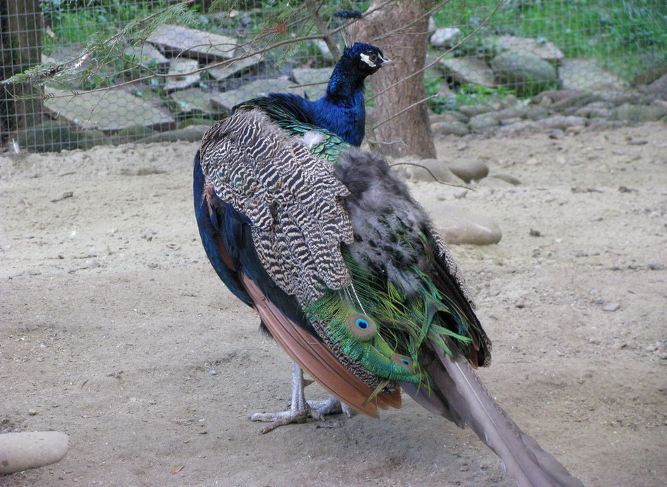 IMG 163.jpg