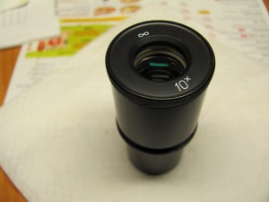 IMG_3124_3.jpg