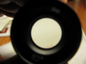 IMG_3129_3.jpg