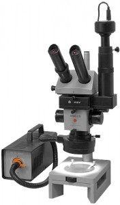 mfo-2.jpg