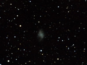 m1.jpg