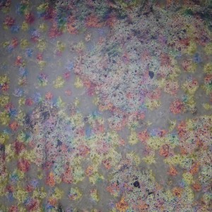 P1150883-мму3_ф-25_СП_1.jpg