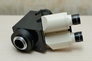 DSC_7686-1.jpg