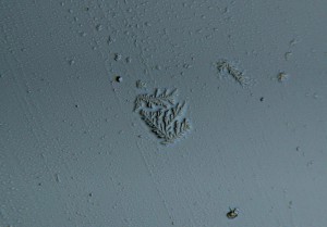 IMG_0138.JPG