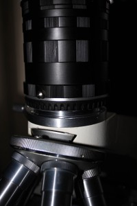 IMG_0165.JPG