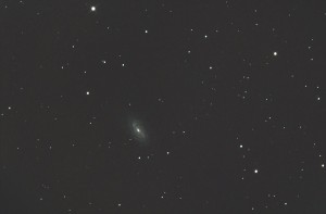 ngc2903_6a.JPG