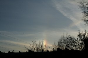 IMG_5479m.JPG