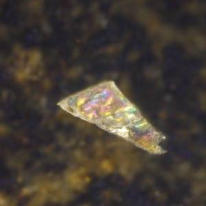 P1150984-1-мму3-тп-поляризация-мф10х-0.5_1.jpg