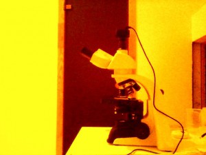 Snapshot_20150218.JPG