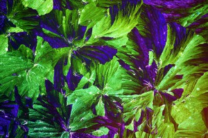 0_1242f8_3950fe4d_XXXL.jpg