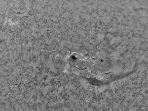 Sun_2015_03_14_acA640-100gm_092306_Ha-4Fr_90%.jpg