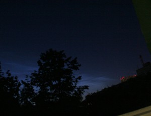 IMG_6113z.jpg