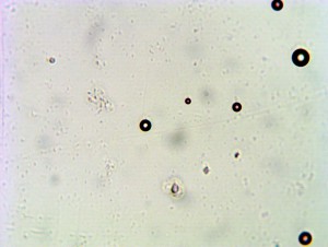 ЕА 63x кит.JPG