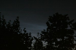 IMG_6126z.jpg