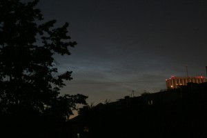 IMG_6184z.jpg