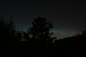 IMG_6187z.jpg