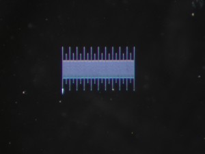 Resize of МБС10_F160.JPG